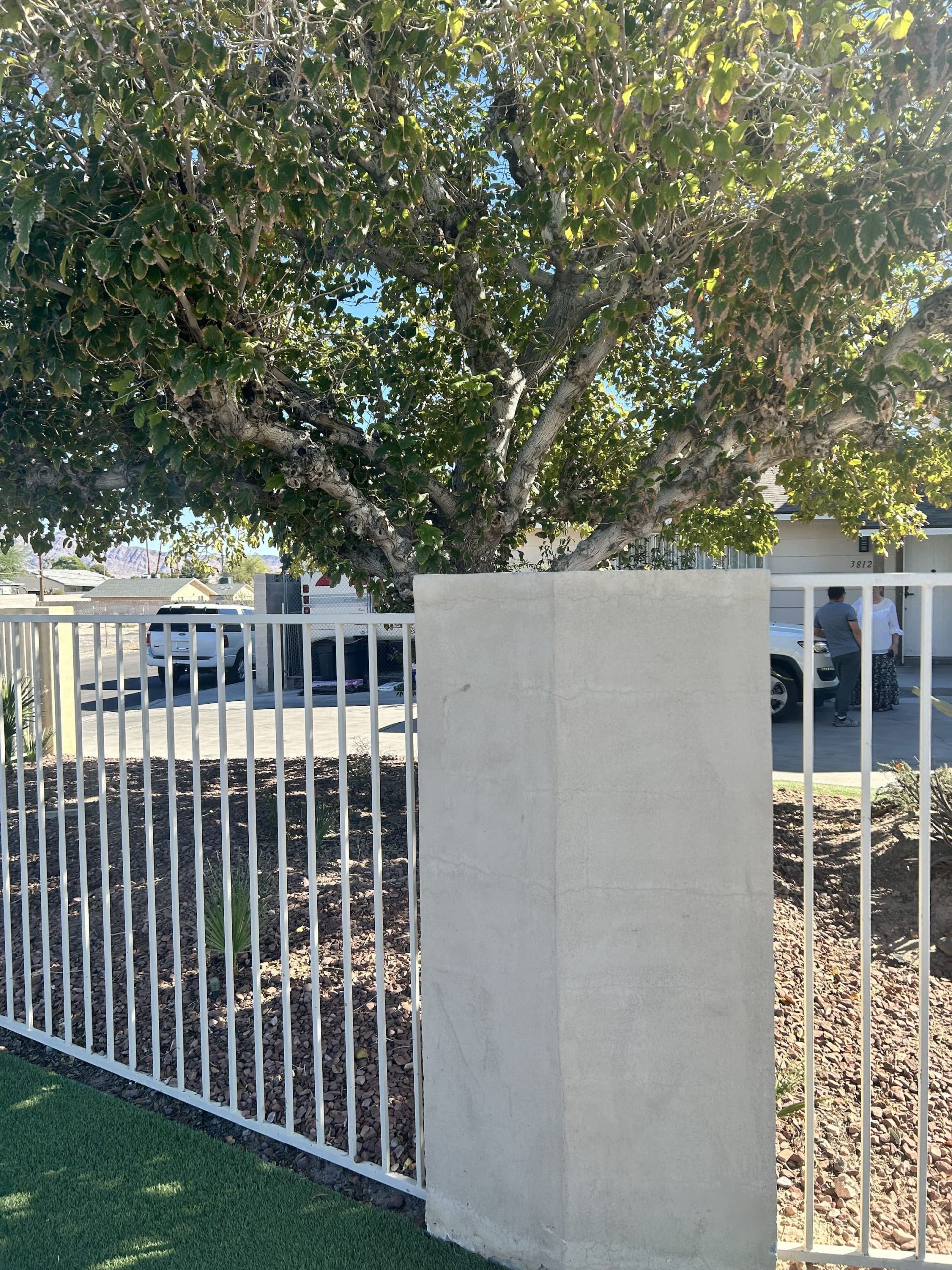 photo-6a301db375-3024x4032